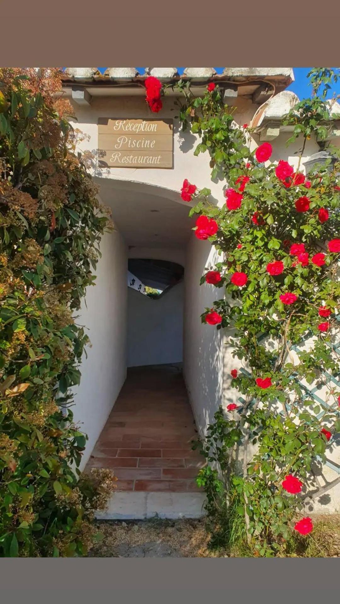 Mas De Calabrun Hotel Saintes-Maries-de-la-Mer Eksteriør billede