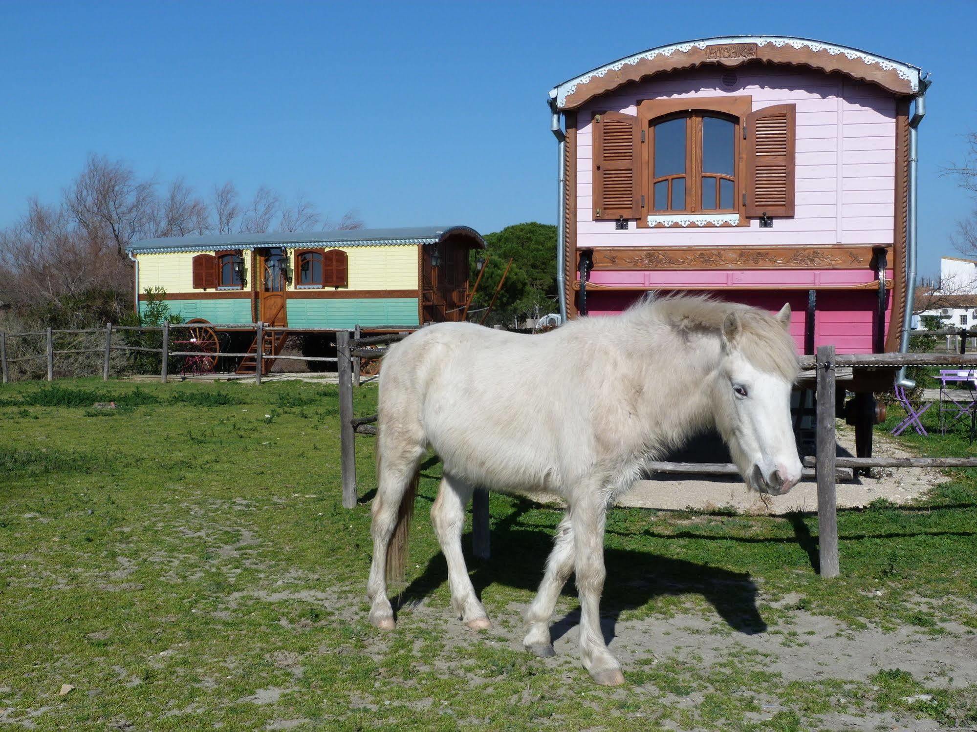 Mas De Calabrun Hotel Saintes-Maries-de-la-Mer Eksteriør billede